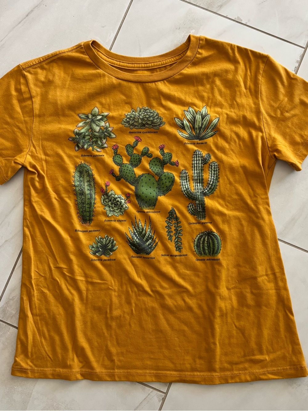 Boutique Mustard Yellow Cactus Graphic Tee